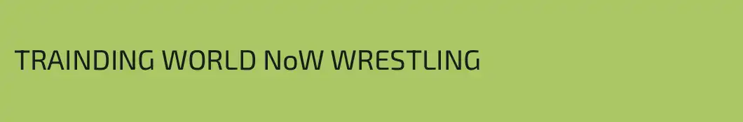 TRAINDING WORLD NoW WRESTLING